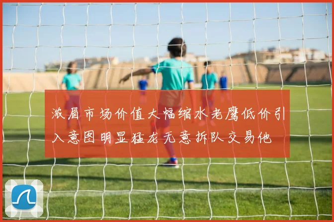 浓眉市场价值大幅缩水老鹰低价引入意图明显猛龙无意拆队交易他