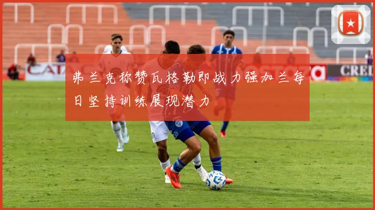 弗兰克称赞瓦格勒即战力强加兰每日坚持训练展现潜力